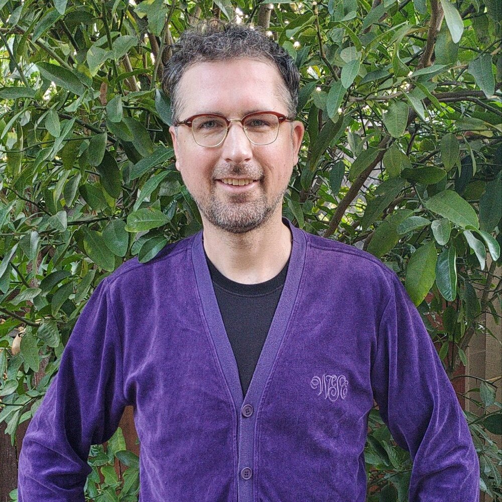 Wesc velvet velour cardigan sweater long-sleeve purple eggplant streetwear med
